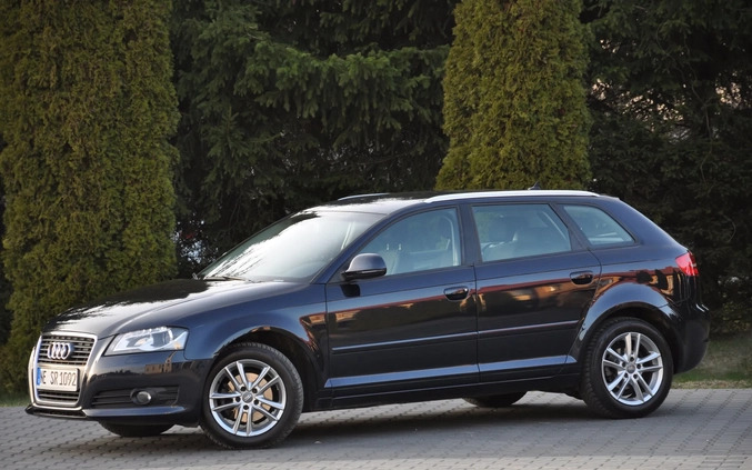 Audi A3 cena 31999 przebieg: 224000, rok produkcji 2010 z Bolków małe 667